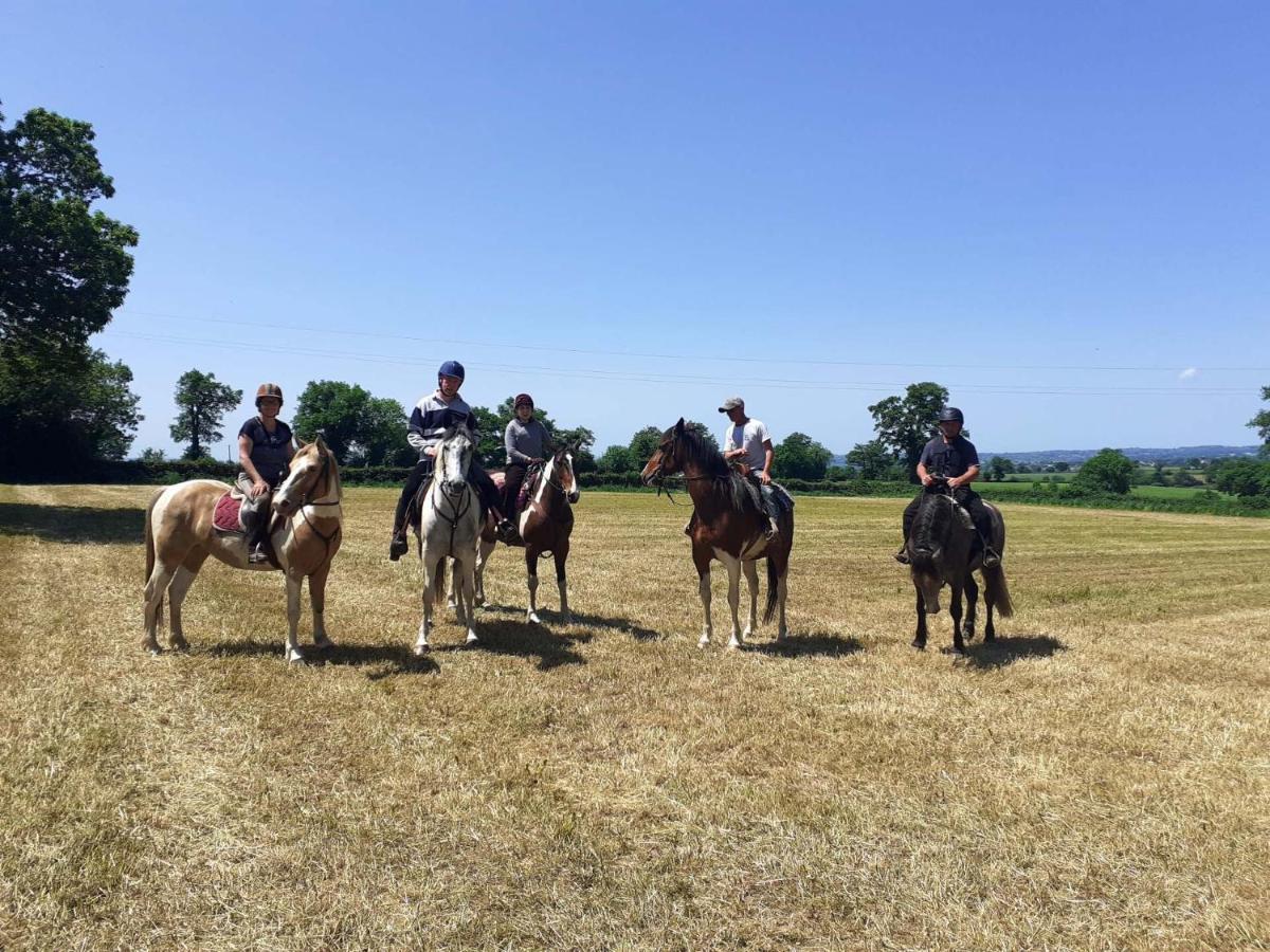 Bed & Breakfast D'hotes Coeur De Bastie Et Ranch Du Levezou *