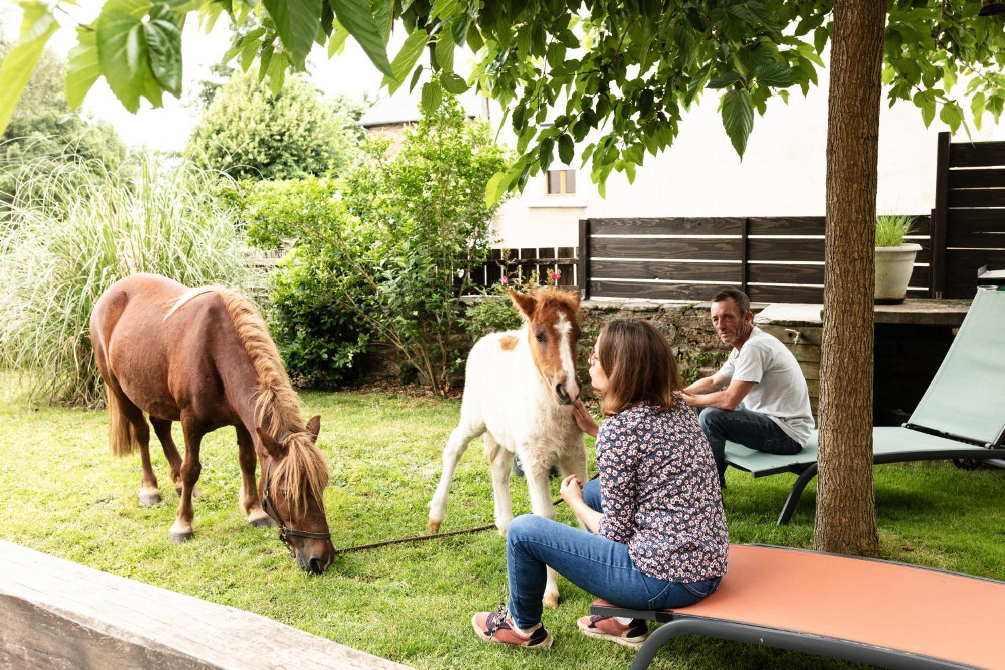Bed & Breakfast D'hotes Coeur De Bastie Et Ranch Du Levezou *